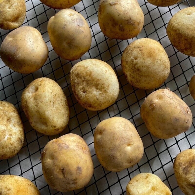 오후 2시,오후두시 구황작물 감자빵(10개입)